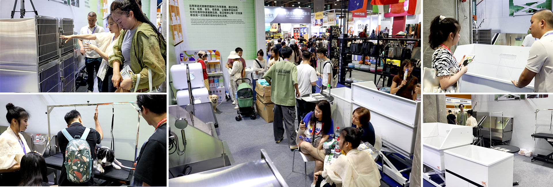B2B discussions with pet industry buyers at Guangzhou Pet Expo 2025
