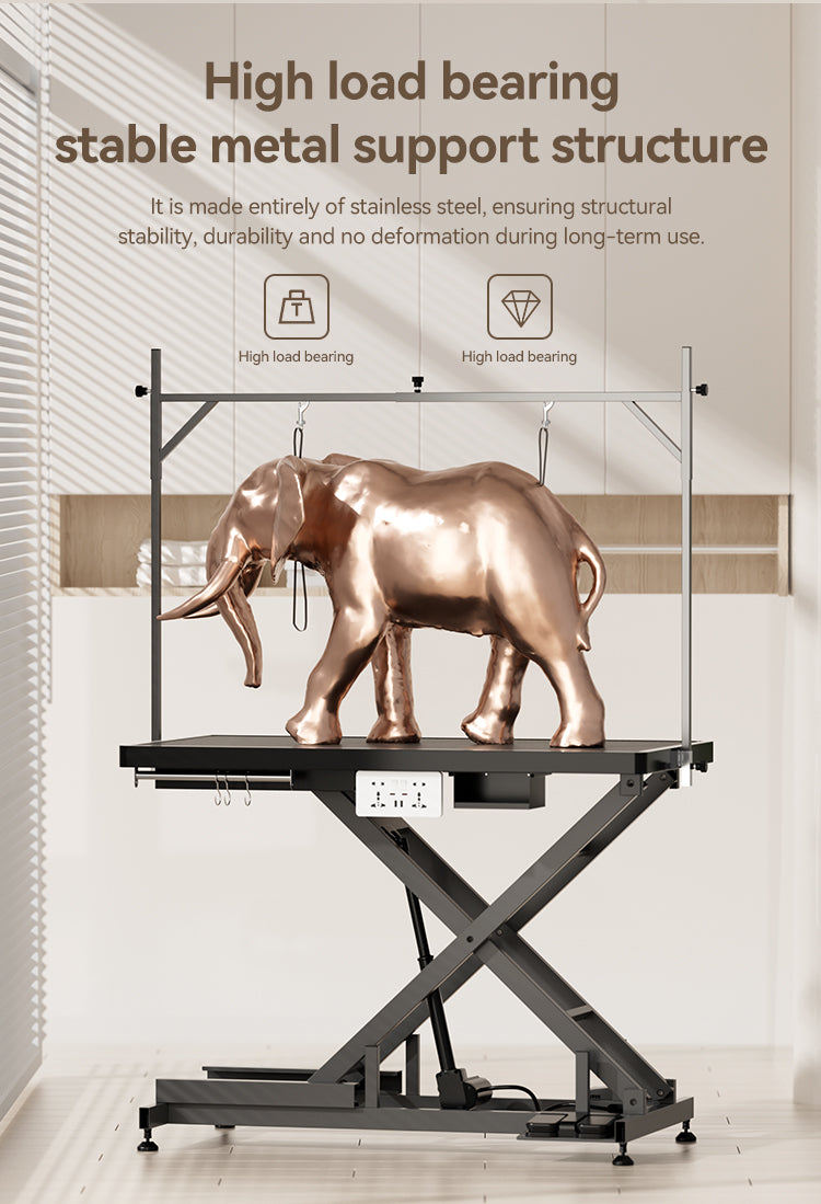 GTE-01R  TAMPLAR electric lift pet grooming table